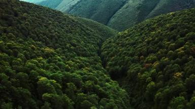4k空中俯瞰无人机图像：带着度假营飞越绿色草地。 森林和山脉为背景. 夕阳西下 乌克兰喀尔巴阡山脉